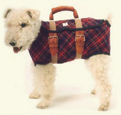 Even More Doggone Ridiculous